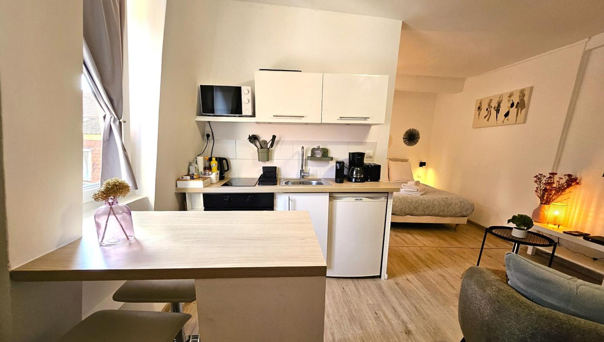 Appartement Studio- Hyper Centre Colmar